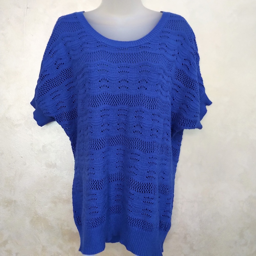 Royal Blue Light Sweater by August Silk EUC M - Picture 1 of 6